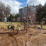 Children at TOP TOTS Daycare and Childcare - Brookline MA