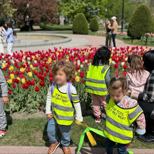 boston commons field trip